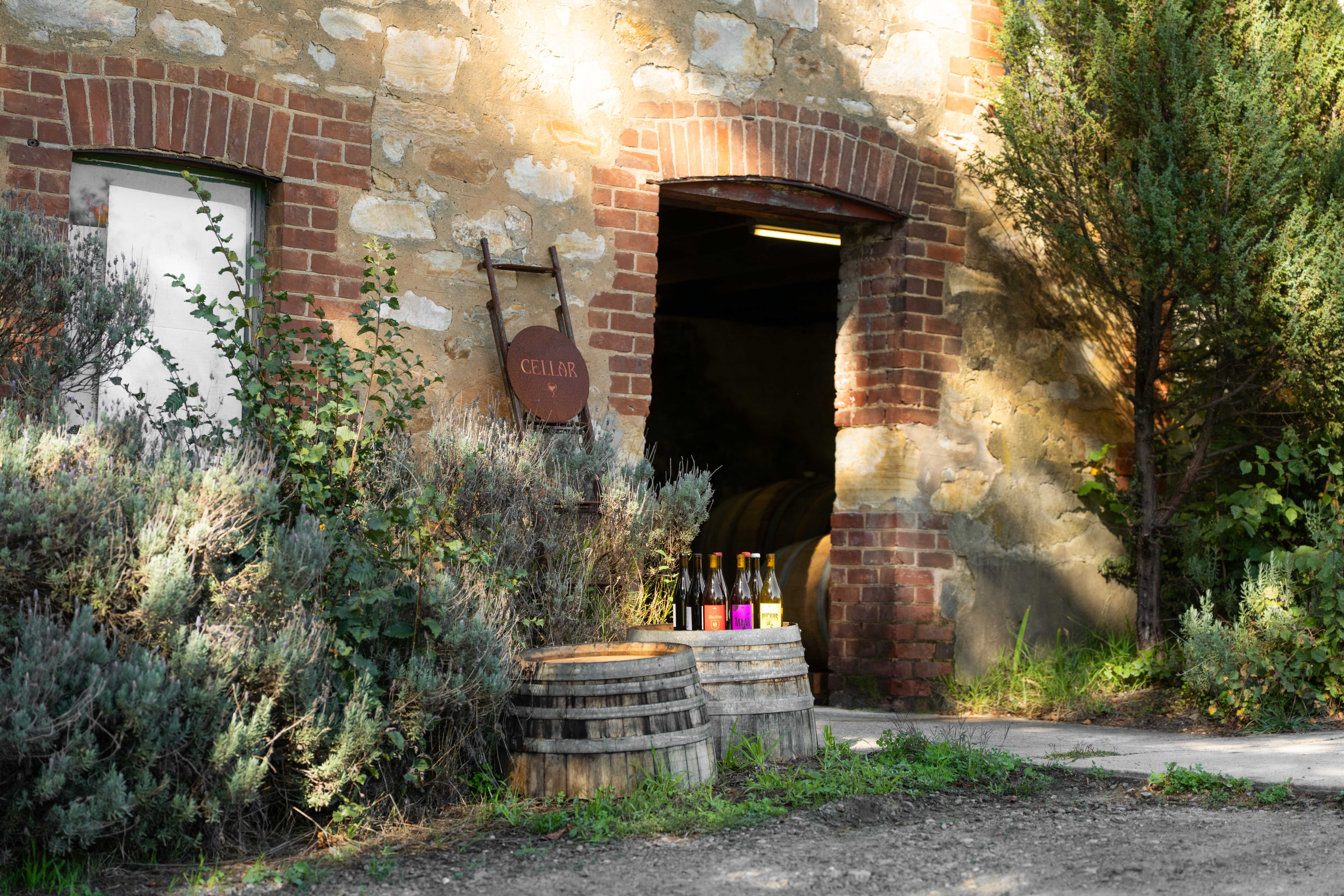 Jean Bouteille cellar